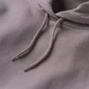 Γυναικείο φούτερ με κουκούλα και λογότυπο Sawyer Script Logo στο μανίκι