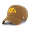 Iowa Hawkeyes '47 Καθαρισμός