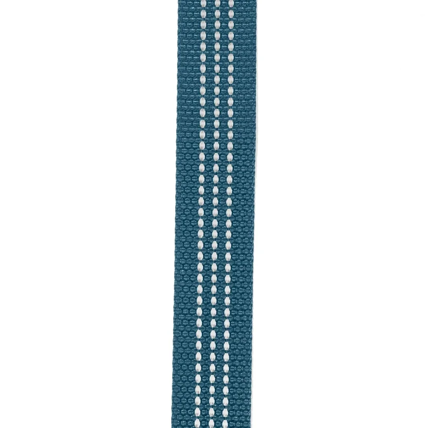 Λουρί σκύλου Field
