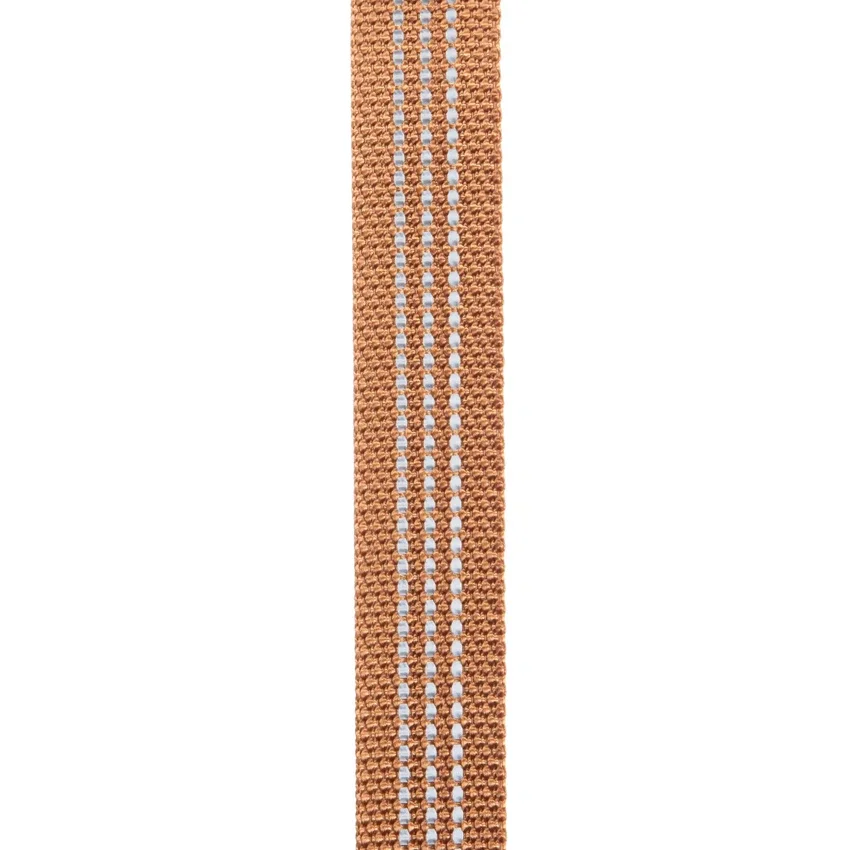 Λουρί σκύλου Field