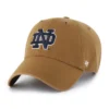 Νοτρ Νταμ Φάιτινγκ Άιρις '47 Καθαρισμός